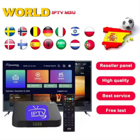 Abonnement IPTV Megaott gratuit 24h dans le monde entier, panneau de contrôle de vente en gros, abonnement de lien M3u de 12 mois pour Android TV Box