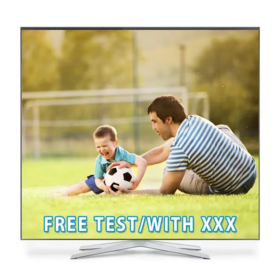 Cheapest Price Lion Ott IPTV Lionott Bqpanel Free Test for Arabic Spain CA USA Germany Polish Africa Europe Reseller Credits Panel