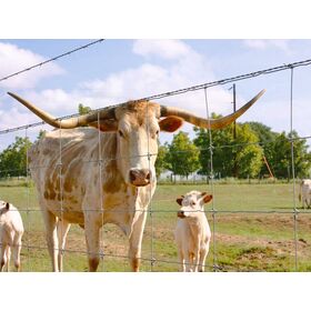 Pasture Fence Panels - Heavy Duty Galvanized Steel for Livestock & Cattle | Agricultural Grade