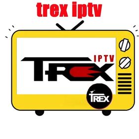 Beliebter IPTV-Abonnement-Code 1/3/6/12 Monate in Europa, Niederlande, Belgien, Deutschland Kanal-M3u-Playlist, Trex Strong 4K