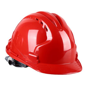 GardenPal Industrial Forestry Safety Helmet and Hearing Protection System, Face Protection