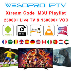 HEISSESTES 12-Monats-IPTV-Abonnement 4K-IPTV-Reseller-Panel Eagle Strong 8K-IPTV-M3u-Xtream-Code-Liste IPTV für Deutschland, USA, Kanada