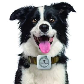 4G Android ISO Waterproof Smart GPS Pet Tracker Plastic Wireless Sim Card Tag Device for Dog Cat Hunting Fence Animal Tracking