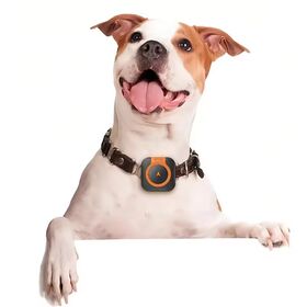 GPS Pet Real-Time Locator Health Monitoring Tracking Cat Dog Collar Anti-Lost Electronic Fence IP67 Waterproof 4G