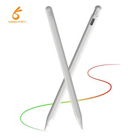 NEW Palm Rejection Active Stylus Pen with Hidden Type-C Charging Port & Tilt Sensitivity for iPad with find my