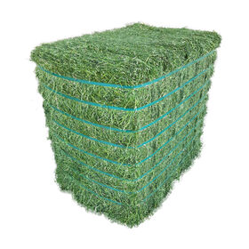 Animal Feed Alfalfa Hay for Sale