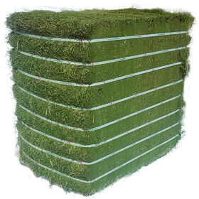 Alfalfa hay with High Protein for Animal Feeding at a Cheap Price