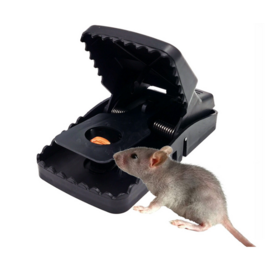Wholesale plastic mouse traps, safe mouse traps, and mouse traps,mouse trap bait,electric rat trap