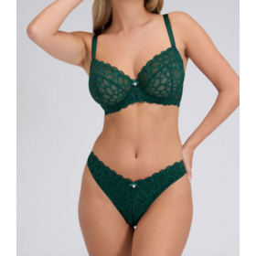 Sexy Lingerie Lace Lingerie Bra and Panty Set OEM Underwired Bra With Lace Thong Floral Lace Push Up Underwear Set Of 2