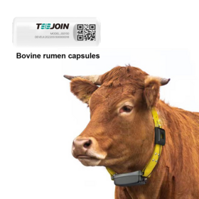 Capsule de rumen bovin avec valeur PH Capsule biologique AI Capsule de l'estomac bovin mouton animal de détection de santé intelligente
