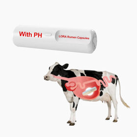 كبسولة لورا الحيوية لتربية الحيوانات الذكية: مراقبة الحالة الصحية (درجة الحموضة في معدة البقر)، الكشف عن الشبق والحمل