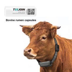 كبسولة ذكية لمعدة بقرة المزرعة، كبسولة بيولوجية بتقنية الذكاء الاصطناعي، مراقبة الشبق في الوقت الفعلي، مراقبة الحالة الصحية للحمل