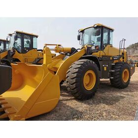 Cargador caliente L956F de la rueda de la venta 5-ton para la construcción