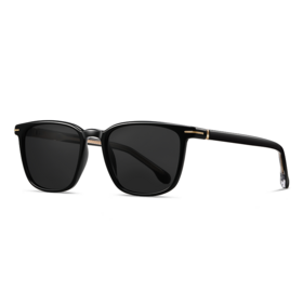 Gafas de Sol Polarizadas Unisex de Moda Económica y de Alta Gama 2026 - Última Colección