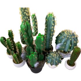 Cheap manufacturer of Artificial succulent pot green/red plant with white pot