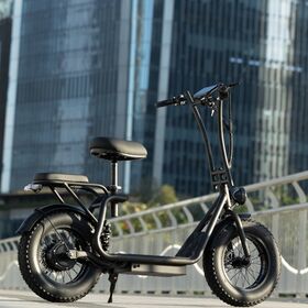 EcoRider Hiboy U2 Pro Elektroroller mit Scheibenbremsen, 16" Reifen für tägliches Pendeln und Wochenend-Besorgungen