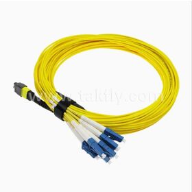 Qualified Data Center Cabling 8 12 24 Cores SM G657A2 MM Om3 Om4 MTP MPO Fiber Optic Cable
