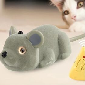 Jouet Voiture Interactive Pour Chat – Télécommande Et Mode Induction (neuf)