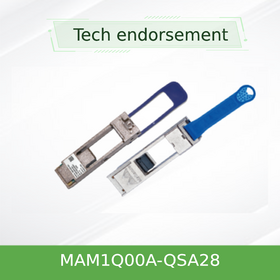 MAM1Q00A-QSA28 QSFP28 to SFP28 Adapter | 100G to 25G Network Adapter Module