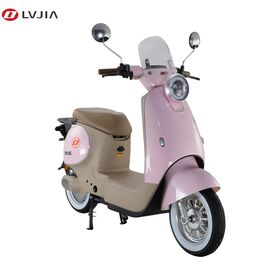 High-Speed 1000W Electric Scooter, E-Mark Certified Automatic Urban Commuter E-Bike with 20Ah Lead-Acid Battery and Pedal Assist