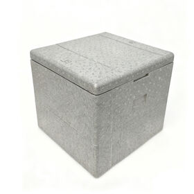 Cheap Reusable EPP Insulated Box for Fresh Produce Shipping
