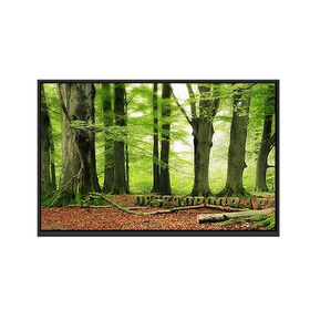 13.3 Inch AMOLED HDMI Touchscreen with 1920x1080 Resolution, 1200 Nits Brightness, and Wide Color Spectrum TFT LCD display