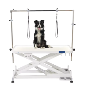 USMILEPET Table de toilettage électrique à LED de haute qualité pour chiens, table robuste et éclairée pour salon de toilettage pour animaux de compagnie
