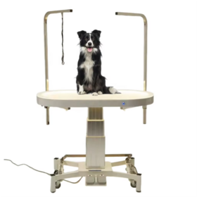 USMILEPET Nouvelle Table de Toilettage Électrique à LED Professionnelle avec Élévateur Électrique - Table de Toilettage Éclairée Électrique pour Chiens
