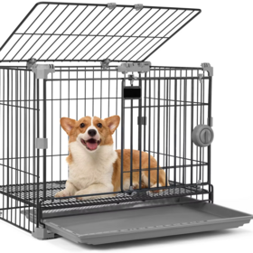 Grande venda Móveis Cama Mesa Dobrável 2X3x4 Portable Soft Carrier Folding Trade para Da China Pet Crate
