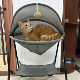 Bestseller Katzenkletterregal für Innenräume, erhöhte stabile Struktur, abnehmbar, einfache Montage, zusammenklappbares Katzenkletterregal-Etagenbett