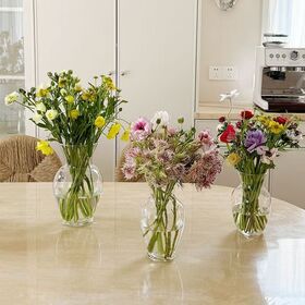 Glass Vase with Stable Base for Tabletop and Shelf Display