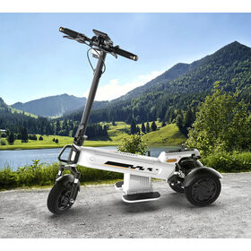 Robuster 1000W Dreirad-Elektroroller mit 20Ah-Batterie und haustierfreundlichem Lastenkorb