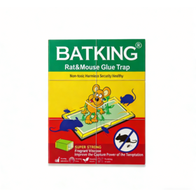 Plaques de Papier Piège à Colle Souris & Rat BATKING | Support en Gros OEM/ODM
