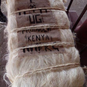 Ug grade Sisal fibre + High-Tensile UG Grade Sisal Fiber for Eco-Friendly Erosion Control & Soil Reinforcement, 1500 N Elongation