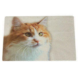 Alfombra Grande Duradera y Fácil de Limpiar para Arena de Gatos con Diseño de Panal, Superficie Impermeable y Base Antideslizante, Certificada según IATF 16949