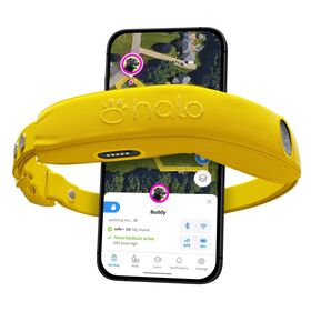 Nova Coleira GPS Sem Fio para Cerca de Cachorro e Coleira de Treinamento com Rastreador GPS