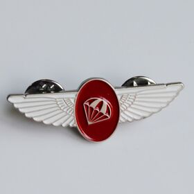 2026yearEmblem Pins, Made of Zinc-alloy, Iron or Brass