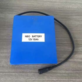 Lithium ion battery 12V10Ah high quality customized battery pack for door access control system