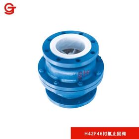 Clapet anti-retour à revêtement fluoré avec résistance à la corrosion pour usage industriel H42F46-16C