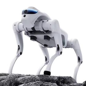 Jouet robot avec télécommande: chien animal interactif - éducation précoce, simulation de pointe programmable parent-enfant Jouet robot avec télécommande: chien animal interactif - éducation précoce, simulation de pointe programmable parent-enfant
