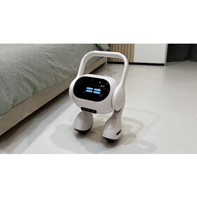 Smart Home Security Cameras Inspection | Pre-Shipment Inspection, QC Service, Third Party Inspection, Quality Control, Q