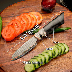 Juego de Cuchillos de Chef Damasco de Alta Calidad, Set de 5 Piezas para Cocina con Mango de Resina, Elegante Patrón Damasco