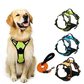 Luxury Pet Dog Accessories Custom Logo Retractable Dog Collar Leash Wire Training Harness Set Made Durable Nylon Supplied