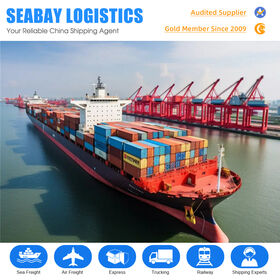 Ocean Sea Freight Forwarding Cargo Shipping Agent Logistics Price Ddu Ddp Door to Door China Usa Canada Australia