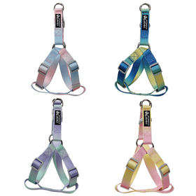 Pet Leash Gradient Color Extendable Outdoor Dog Walking Rope Leash Set Collar Dog Harness Buckle Closure Small Medium pet collar