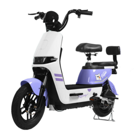 Alta qualidade de 14 polegadas cidade bicicletas elétricas Rear-Hub Brushless Motor bateria dupla Duas rodas