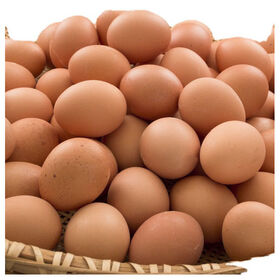 Fresh Brown Table Eggs / Fresh Chicken Eggs Sell At Best Rate Farm Fresh Chicken Table Eggs Brown Fresh Brown White Table Eggs