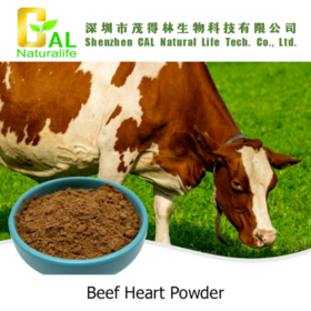 Polvo de Corazón de Res - Suplemento Nutricional, Aditivo Alimentario, Producto para el Cuidado de la Salud, Materias Primas, Suplementos Nutricionales Humanos