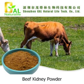 Beef Kidney Substance Extract Nutritional supplement, Food additive Health Care Product Materials Human Nutritional Supplements