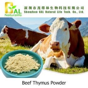 Rinder-Thymus-Pulver als Nahrungsergänzungsmittel, Lebensmittelzusatzstoff, Rohstoff für Gesundheitsprodukte, menschliche Nahrungsergänzungsmittel